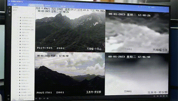 保護游客與森林資源的安全？w.jpg