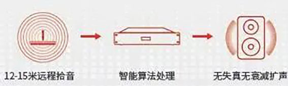 雷達(dá)無損拾音(RAM)w.jpg