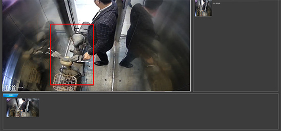 9瀏覽器（IE11及以上版本）可直接查看預覽視頻和抓拍圖像w.jpg