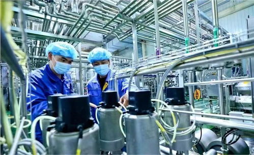 蘭州新區國慶假期生產不打烊，全力趕制訂單保障西安網絡需求